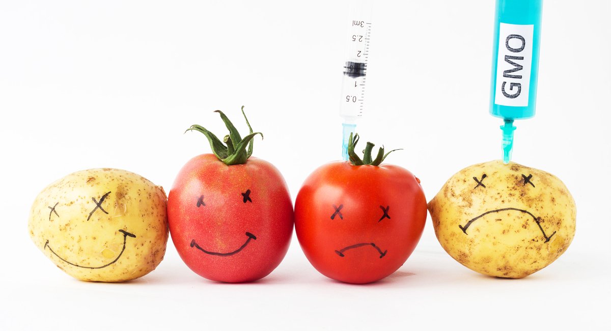 GMOs, Artificial Sweeteners, Preservatives, and Artificial Flavors - Oh My!